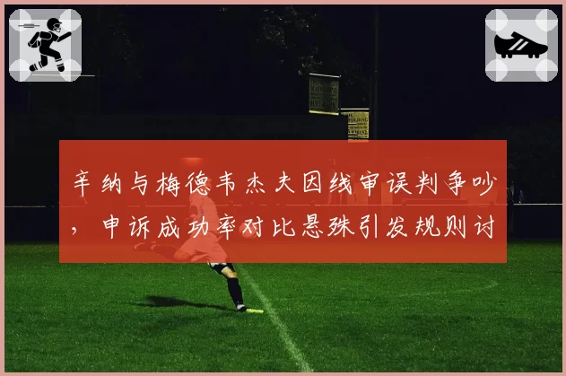 辛纳与梅德韦杰夫因线审误判争吵,申诉成功率对比悬殊引发规则讨论